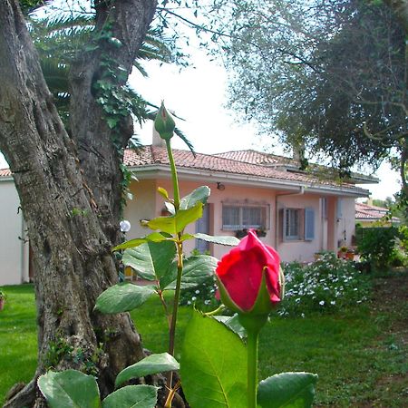 Parco Delle Valli Bed and Breakfast Σάσαρι Εξωτερικό φωτογραφία