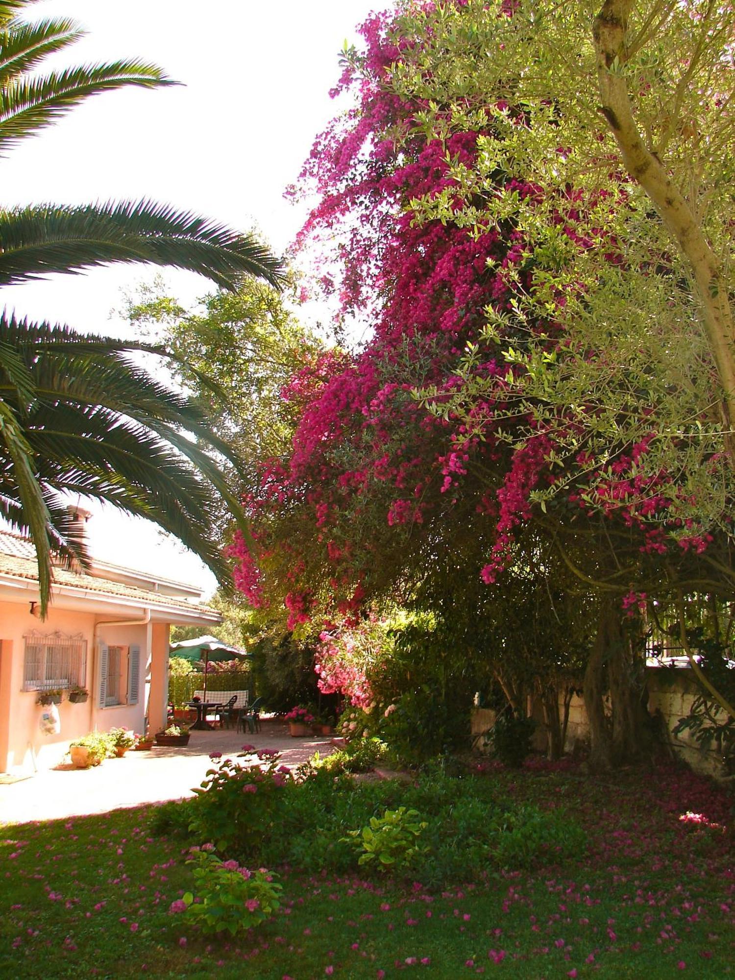 Parco Delle Valli Σάσαρι Εξωτερικό φωτογραφία