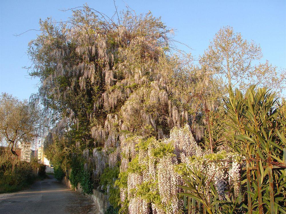 Parco Delle Valli Bed and Breakfast Σάσαρι Εξωτερικό φωτογραφία