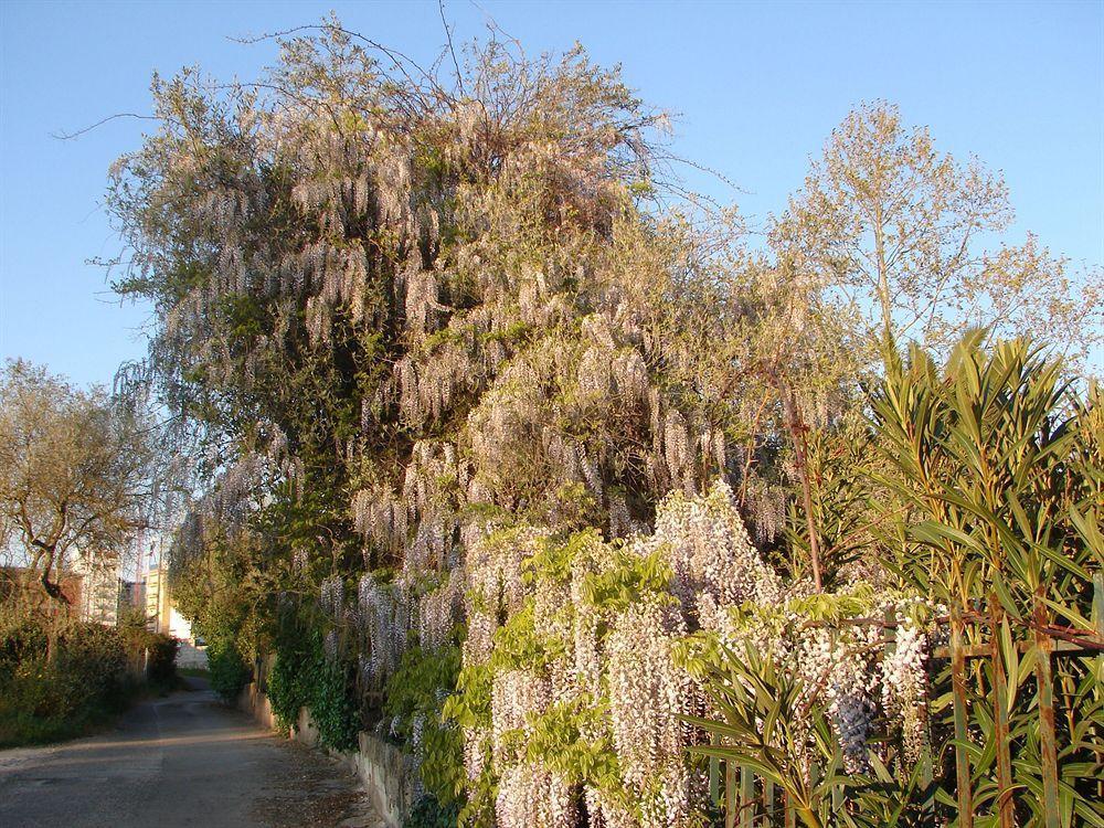 Parco Delle Valli Σάσαρι Εξωτερικό φωτογραφία